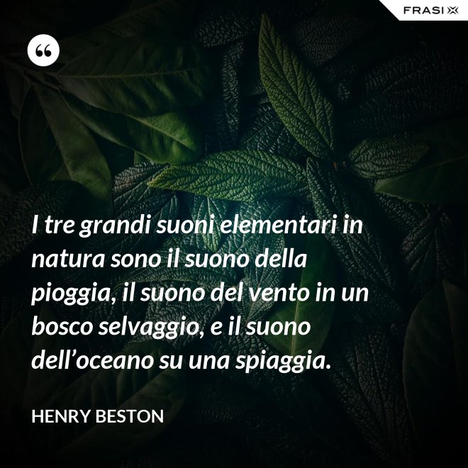 I tre grandi suoni elementari in natura sono il suono della pioggia, il suono del vento in un bosco selvaggio, e il suono dell’oceano su una spiaggia. - Henry Beston
