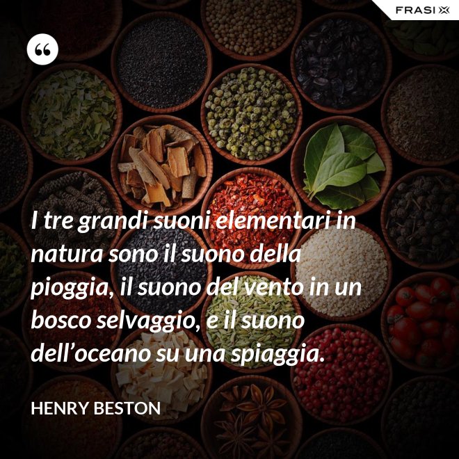 I tre grandi suoni elementari in natura sono il suono della pioggia, il suono del vento in un bosco selvaggio, e il suono dell’oceano su una spiaggia. - Henry Beston