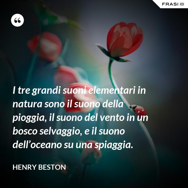 I tre grandi suoni elementari in natura sono il suono della pioggia, il suono del vento in un bosco selvaggio, e il suono dell’oceano su una spiaggia. - Henry Beston