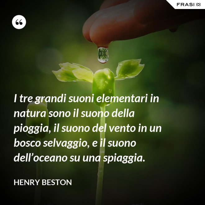 I tre grandi suoni elementari in natura sono il suono della pioggia, il suono del vento in un bosco selvaggio, e il suono dell’oceano su una spiaggia. - Henry Beston