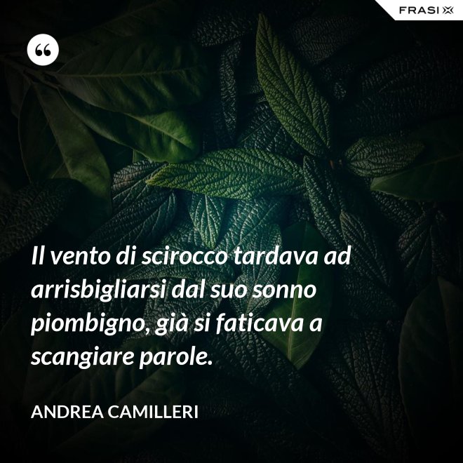 Il vento di scirocco tardava ad arrisbigliarsi dal suo sonno piombigno, già si faticava a scangiare parole. - Andrea Camilleri