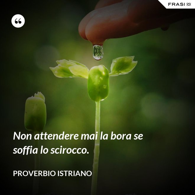 Non attendere mai la bora se soffia lo scirocco. - Proverbio Istriano