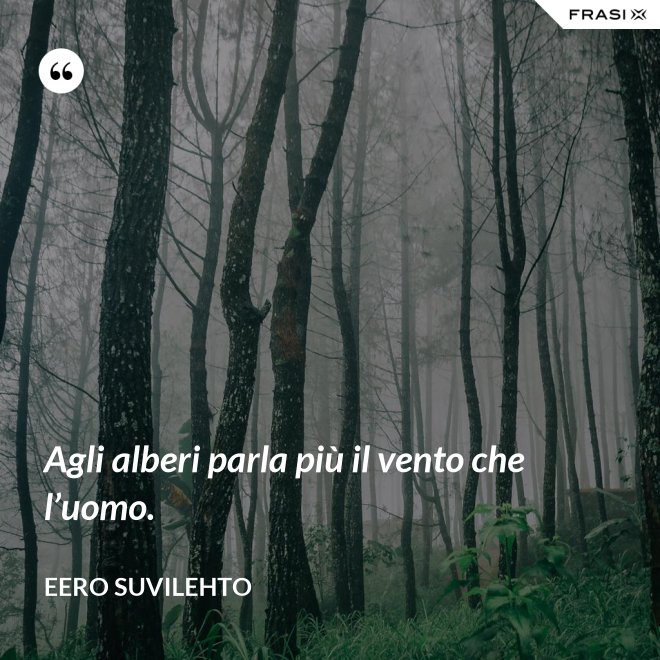 Agli alberi parla più il vento che l’uomo. - Eero Suvilehto