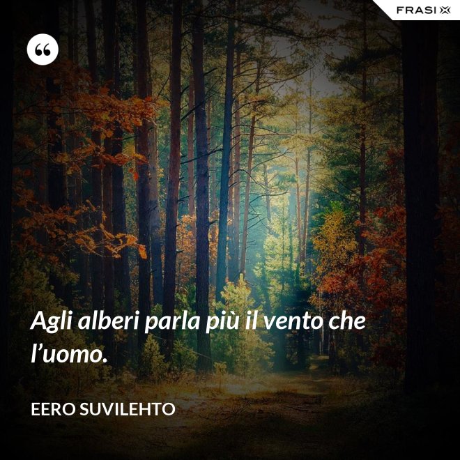 Agli alberi parla più il vento che l’uomo. - Eero Suvilehto