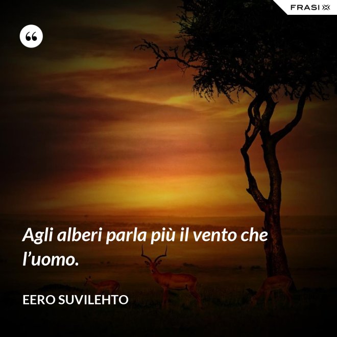 Agli alberi parla più il vento che l’uomo. - Eero Suvilehto