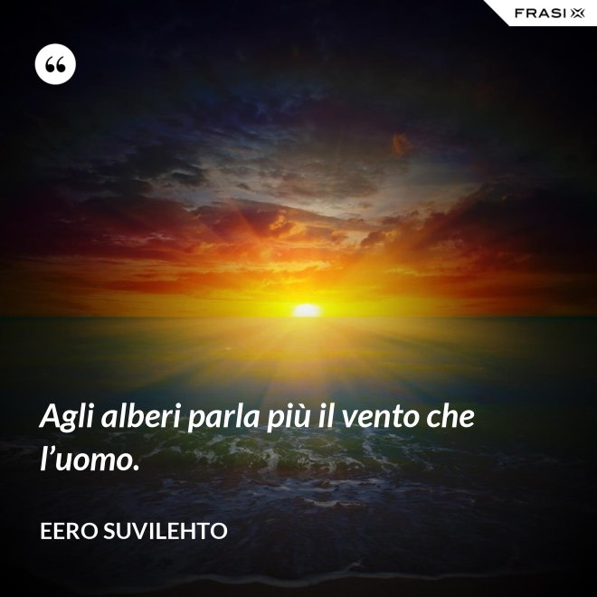 Agli alberi parla più il vento che l’uomo. - Eero Suvilehto
