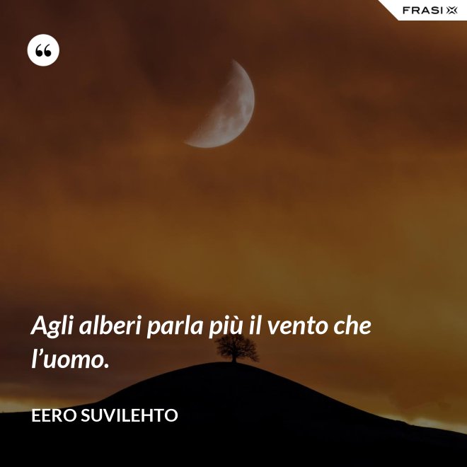 Agli alberi parla più il vento che l’uomo. - Eero Suvilehto