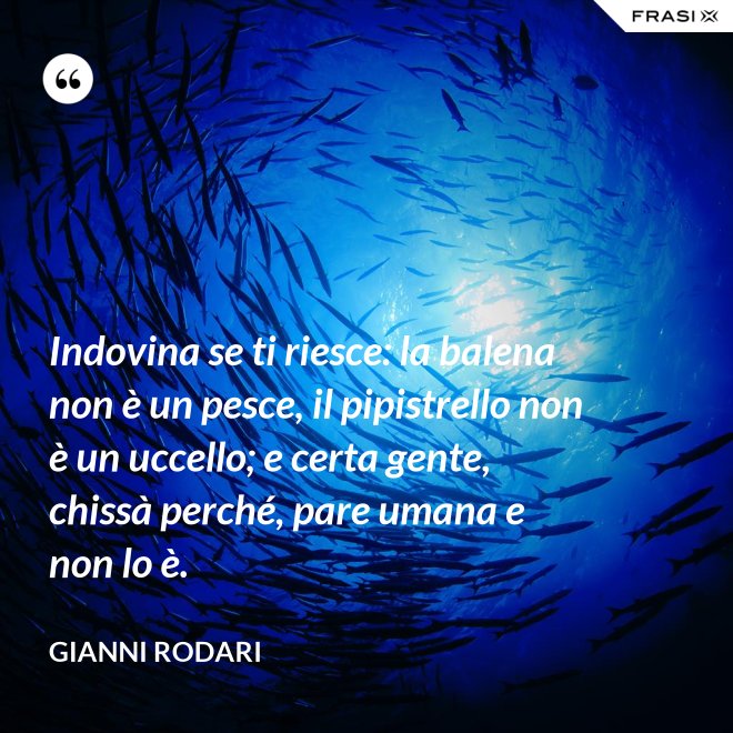 Indovina se ti riesce: la balena non è un pesce, il pipistrello non è un uccello; e certa gente, chissà perché, pare umana e non lo è. - Gianni Rodari