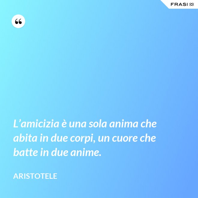 L’amicizia è una sola anima che abita in due corpi, un cuore che batte in due anime. - Aristotele