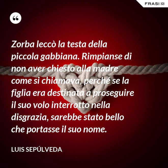 Zorba leccò la testa della piccola gabbiana. Rimpianse di non aver chiesto alla madre come si chiamava, perché se la figlia era destinata a proseguire il suo volo interrotto nella disgrazia, sarebbe stato bello che portasse il suo nome. - Luis Sepúlveda