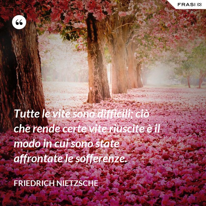 Tutte le vite sono difficili; ciò che rende certe vite riuscite è il modo in cui sono state affrontate le sofferenze. - Friedrich Nietzsche
