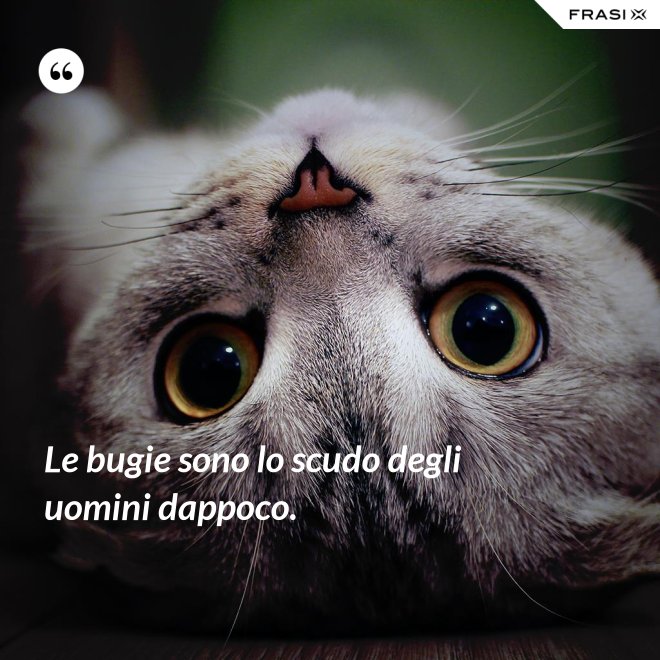 Le bugie sono lo scudo degli uomini dappoco. - Anonimo