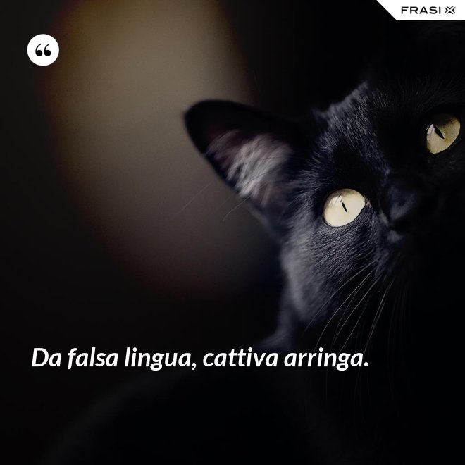 Da falsa lingua, cattiva arringa. - Anonimo
