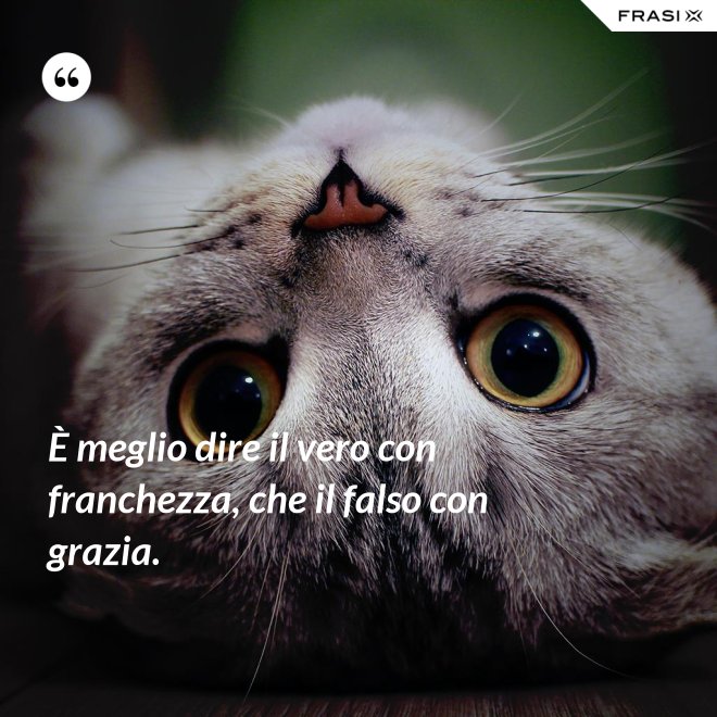 È meglio dire il vero con franchezza, che il falso con grazia. - Anonimo