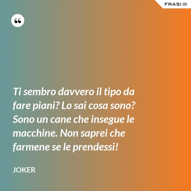Ti sembro davvero il tipo da fare piani? Lo sai cosa sono? Sono un cane che insegue le macchine. Non saprei che farmene se le prendessi! - Joker