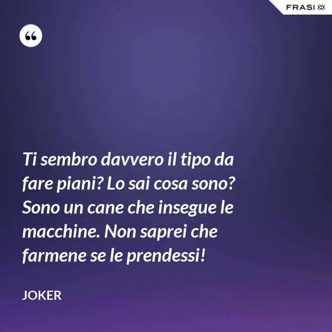 Ti sembro davvero il tipo da fare piani? Lo sai cosa sono? Sono un cane che insegue le macchine. Non saprei che farmene se le prendessi! - Joker