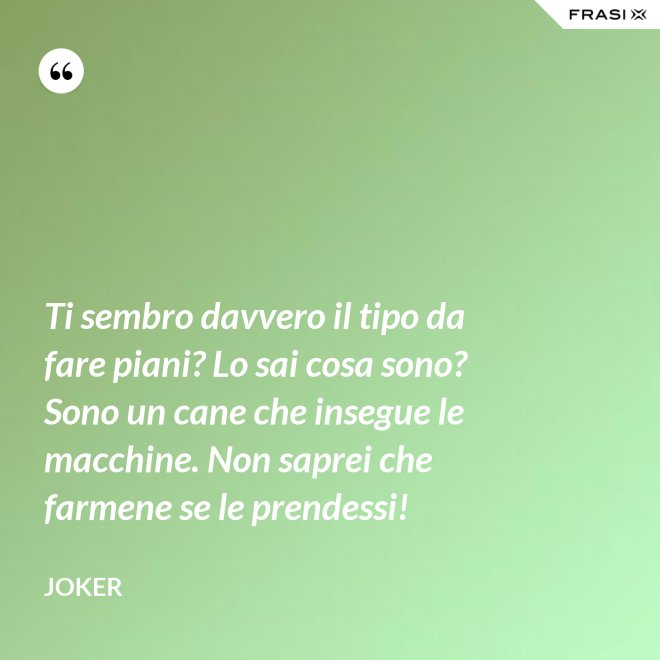 Ti sembro davvero il tipo da fare piani? Lo sai cosa sono? Sono un cane che insegue le macchine. Non saprei che farmene se le prendessi! - Joker