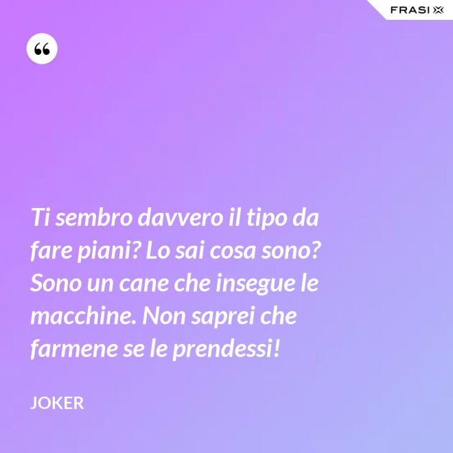Ti sembro davvero il tipo da fare piani? Lo sai cosa sono? Sono un cane che insegue le macchine. Non saprei che farmene se le prendessi! - Joker