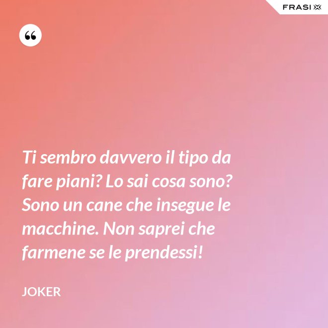 Ti sembro davvero il tipo da fare piani? Lo sai cosa sono? Sono un cane che insegue le macchine. Non saprei che farmene se le prendessi! - Joker