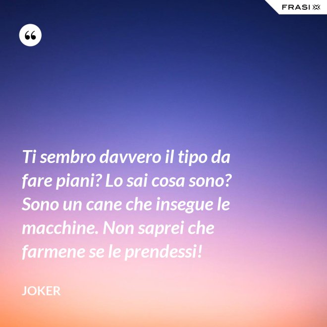 Ti sembro davvero il tipo da fare piani? Lo sai cosa sono? Sono un cane che insegue le macchine. Non saprei che farmene se le prendessi! - Joker