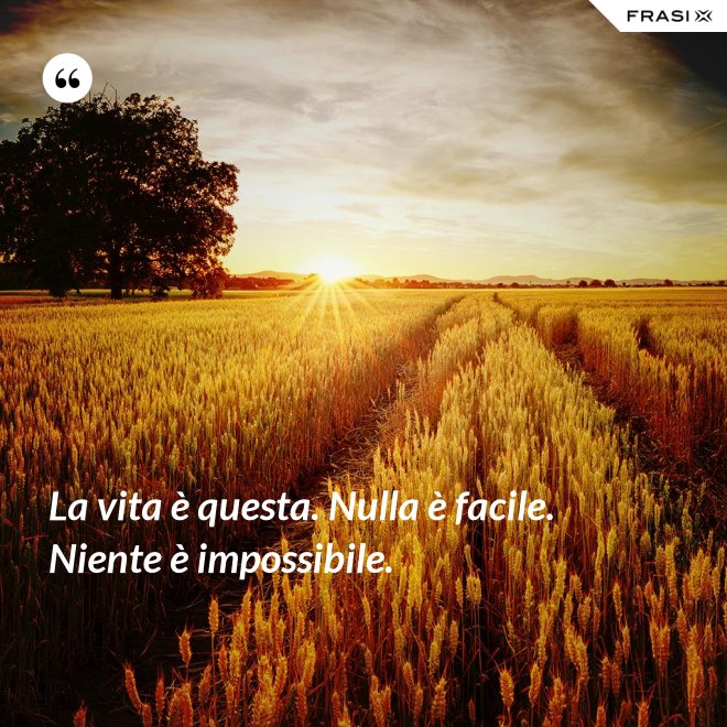 La vita è questa. Nulla è