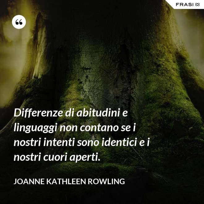Differenze di abitudini e linguaggi non contano se i nostri intenti sono identici e i nostri cuori aperti. - Joanne Kathleen Rowling