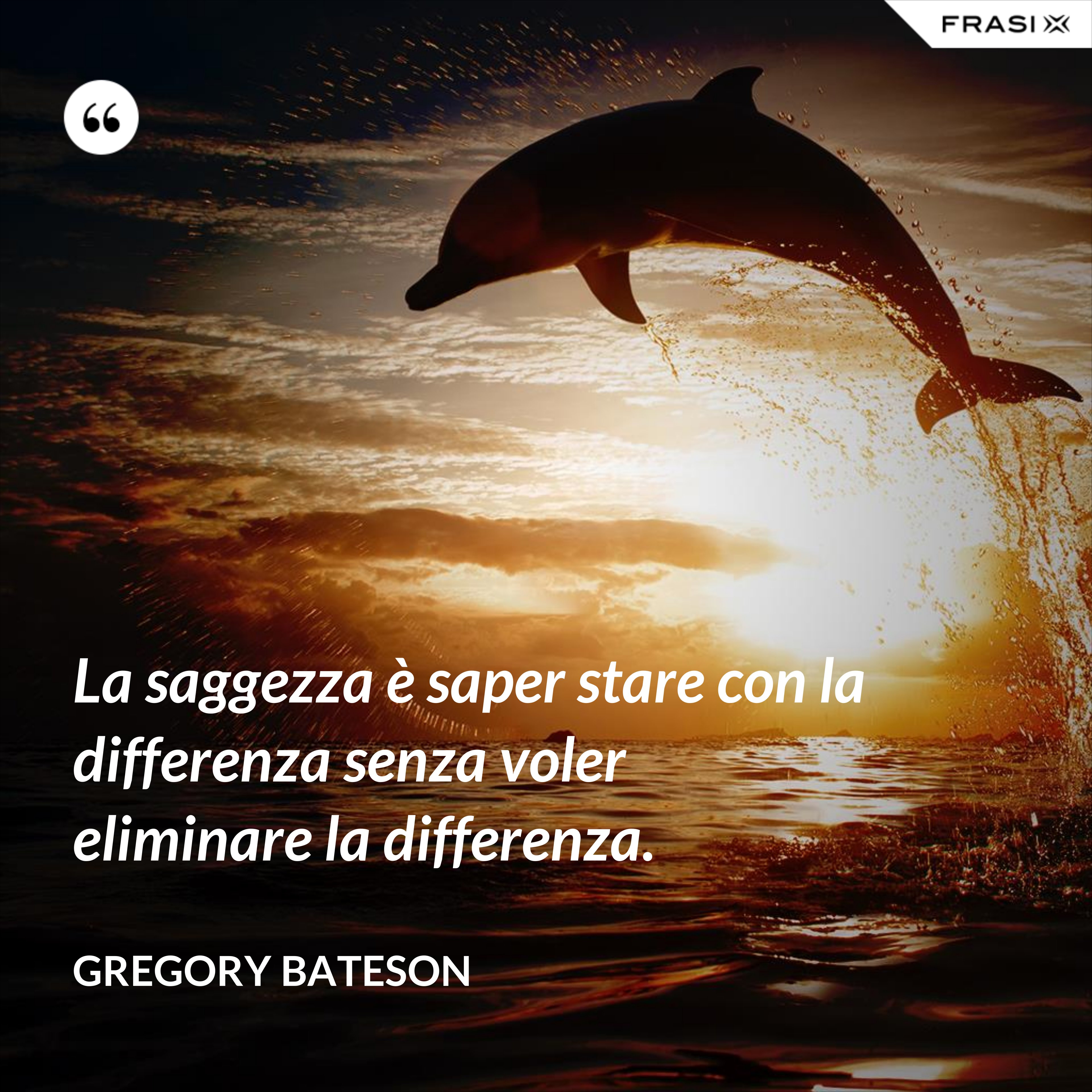 La saggezza è saper stare con la differenza senza voler eliminare la differenza. - Gregory Bateson