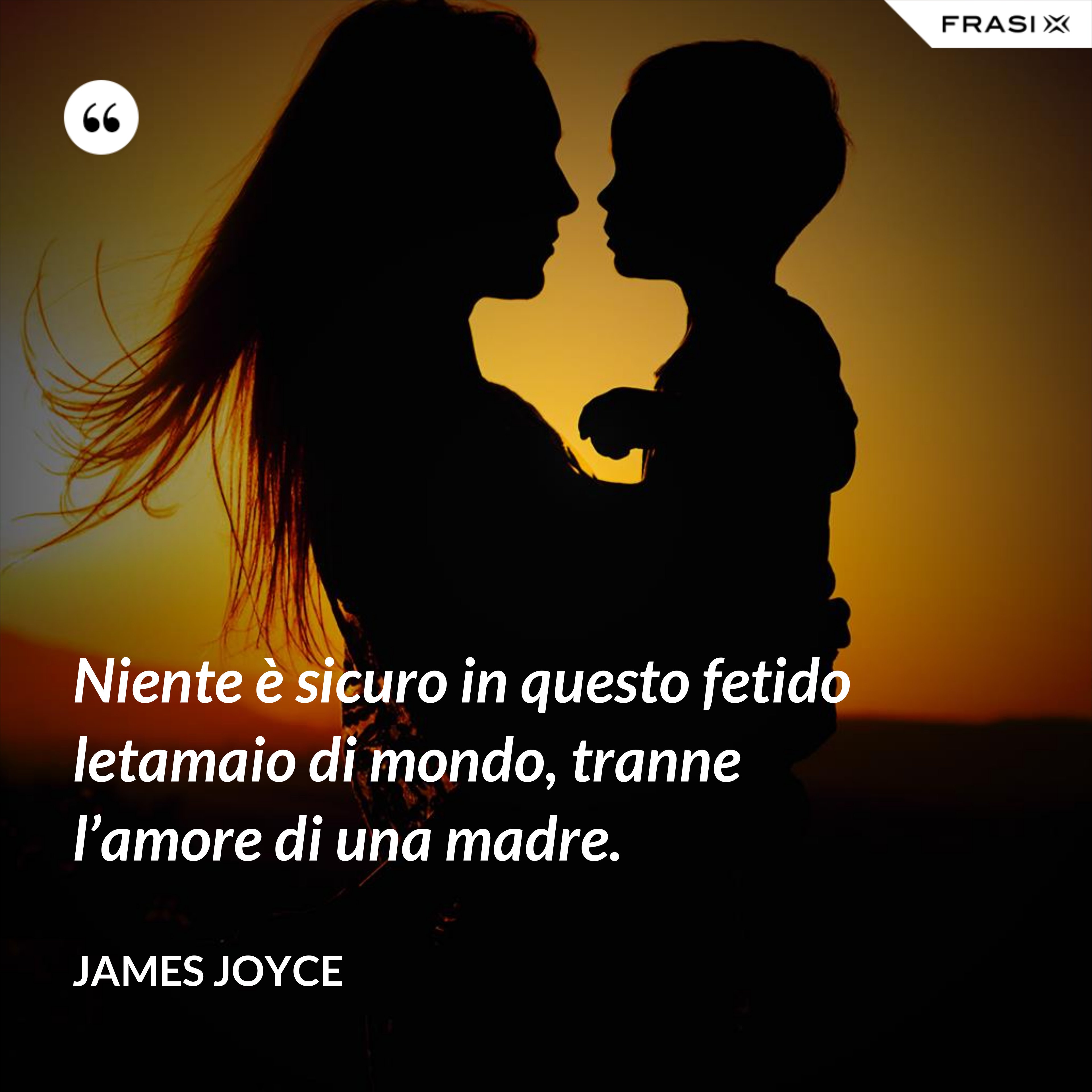 Niente è sicuro in questo fetido letamaio di mondo, tranne l’amore di una madre. - James Joyce