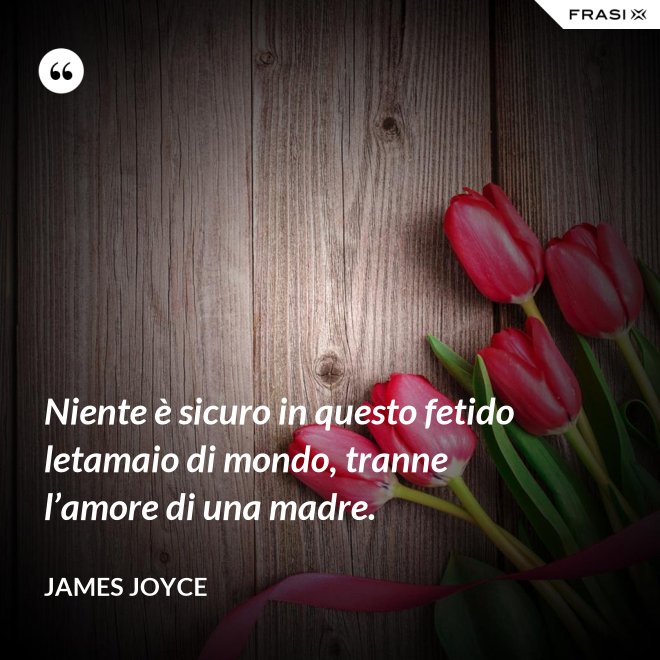 Niente è sicuro in questo fetido letamaio di mondo, tranne l’amore di una madre. - James Joyce