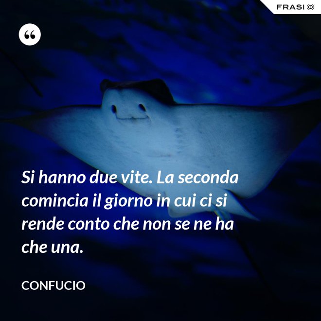 Si hanno due vite. La seconda comincia il giorno in cui ci si rende conto che non se ne ha che una. - Confucio