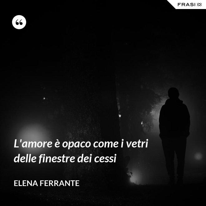 L'amore è opaco come i vetri delle finestre dei cessi - Elena Ferrante
