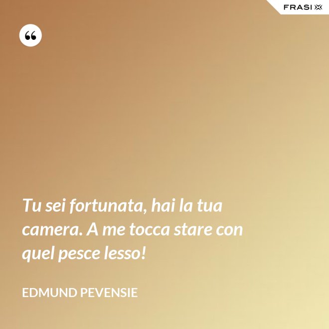 Tu sei fortunata, hai la tua camera. A me tocca stare con quel pesce lesso! - Edmund Pevensie