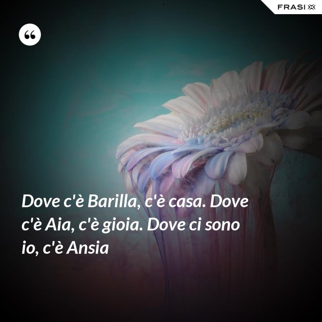 Dove c'è Barilla, c'è casa. Dove c'è Aia, c'è gioia. Dove ci sono io, c'è Ansia - Anonimo