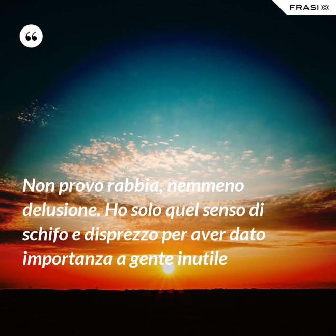 Non provo rabbia, nemmeno delusione. Ho solo quel senso di schifo e disprezzo per aver dato importanza a gente inutile - Anonimo