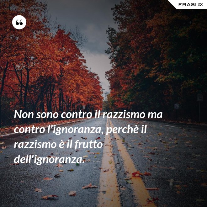 Non sono contro il razzismo ma contro l'ignoranza, perchè il razzismo è il frutto dell'ignoranza. - Anonimo