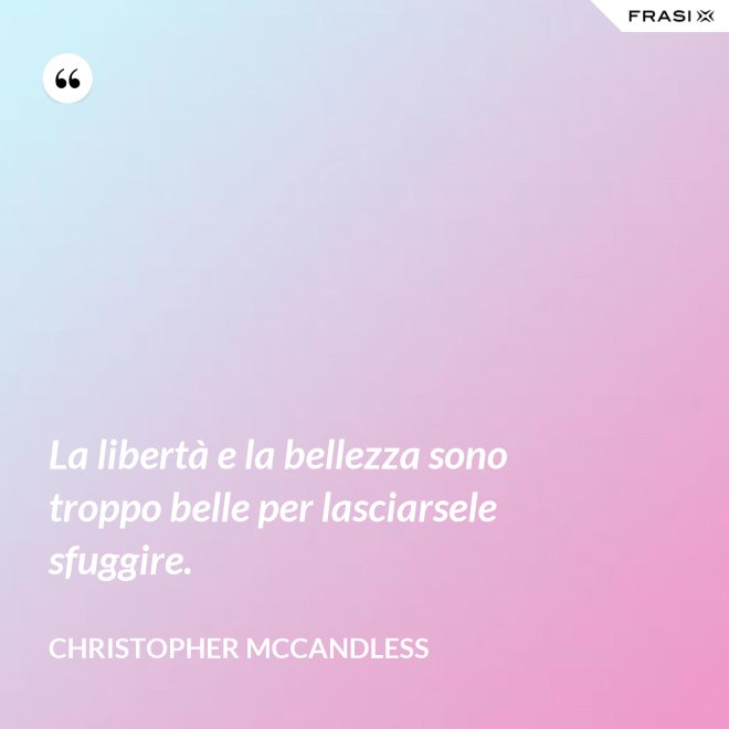 La libertà e la bellezza sono troppo belle per lasciarsele sfuggire. - Christopher McCandless