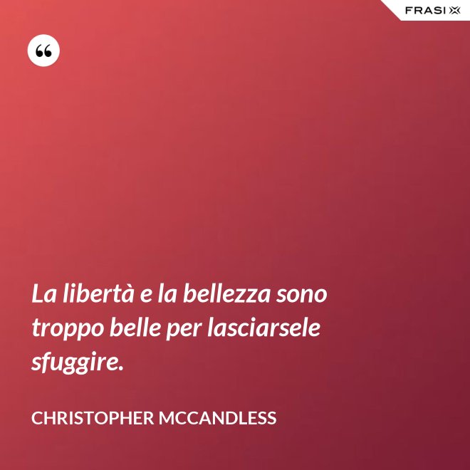 La libertà e la bellezza sono troppo belle per lasciarsele sfuggire. - Christopher McCandless