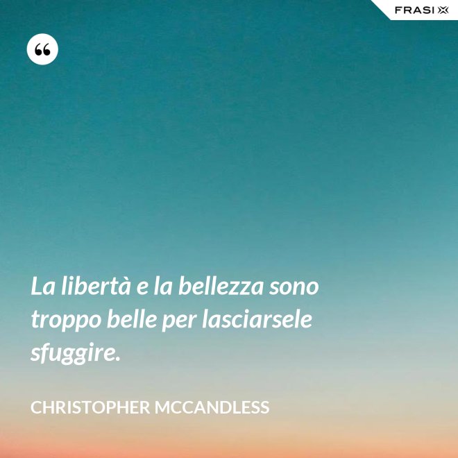 La libertà e la bellezza sono troppo belle per lasciarsele sfuggire. - Christopher McCandless