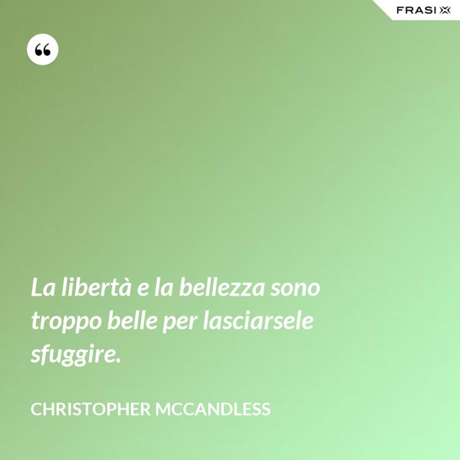 La libertà e la bellezza sono troppo belle per lasciarsele sfuggire. - Christopher McCandless