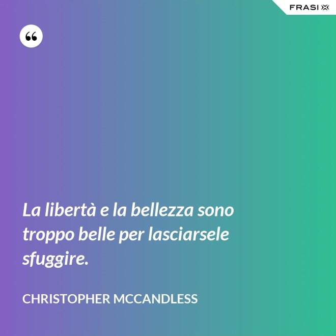 La libertà e la bellezza sono troppo belle per lasciarsele sfuggire. - Christopher McCandless