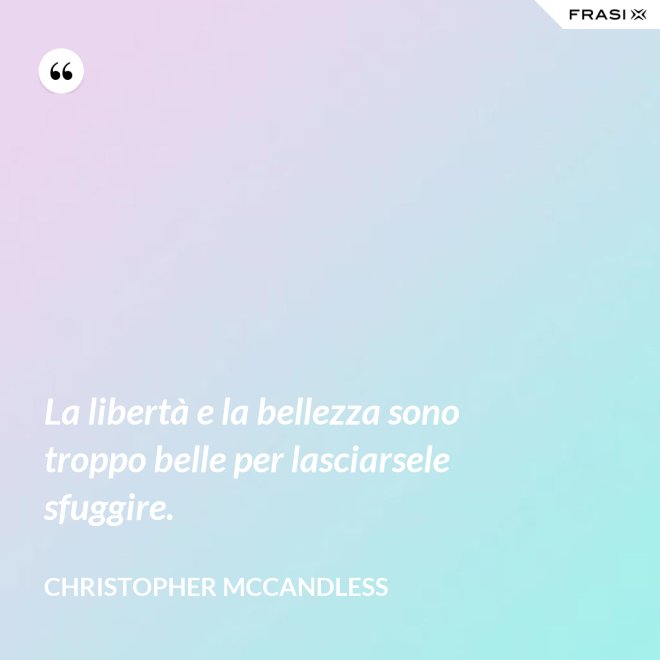 La libertà e la bellezza sono troppo belle per lasciarsele sfuggire. - Christopher McCandless