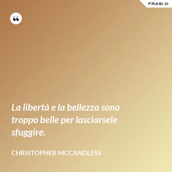 La libertà e la bellezza sono troppo belle per lasciarsele sfuggire. - Christopher McCandless