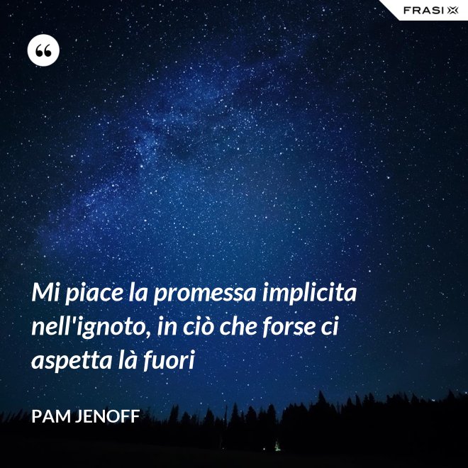 Mi piace la promessa implicita nell'ignoto, in ciò che forse ci aspetta là fuori - Pam Jenoff