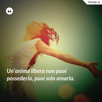 Un'anima libera non puoi possederla, puoi solo amarla. - Anonimo