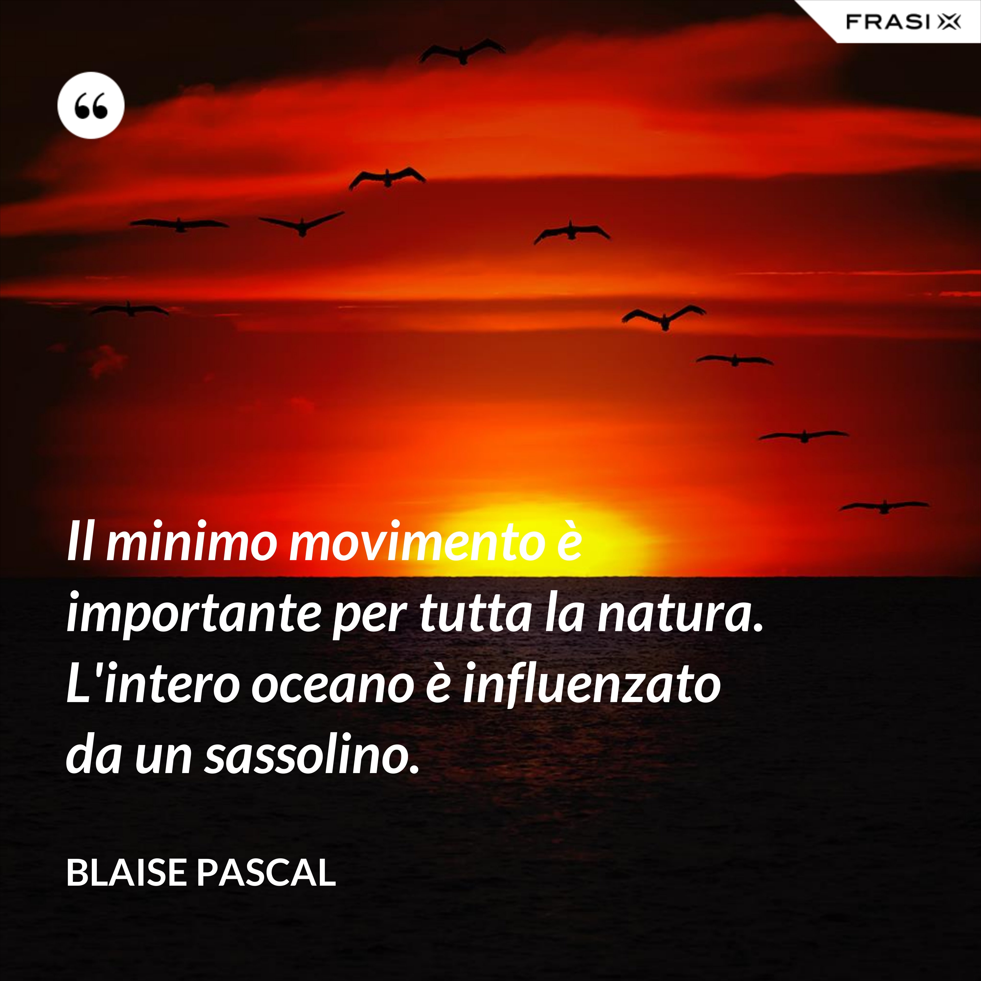 Il minimo movimento è importante per tutta la natura. L'intero oceano è influenzato da un sassolino. - Blaise Pascal