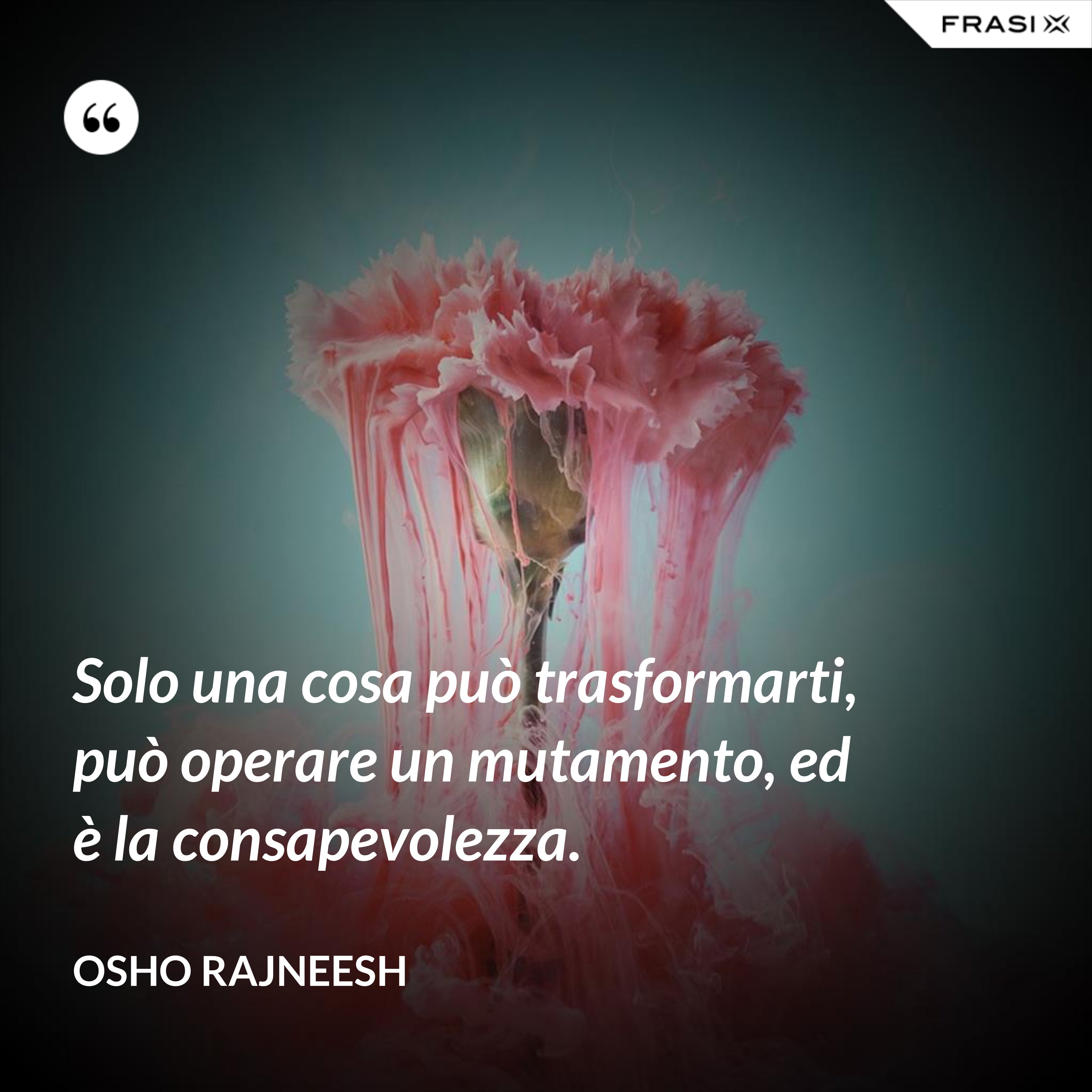 Solo una cosa può trasformarti, può operare un mutamento, ed è la consapevolezza. - Osho Rajneesh
