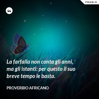 La farfalla non conta gli anni, ma gli istanti: per questo il suo breve tempo le basta. - Proverbio Africano