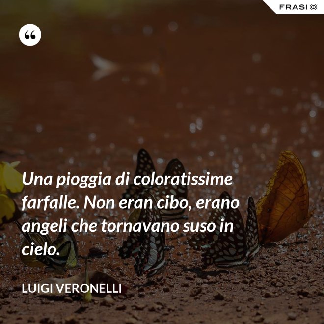 Una pioggia di coloratissime farfalle. Non eran cibo, erano angeli che tornavano suso in cielo. - Luigi Veronelli