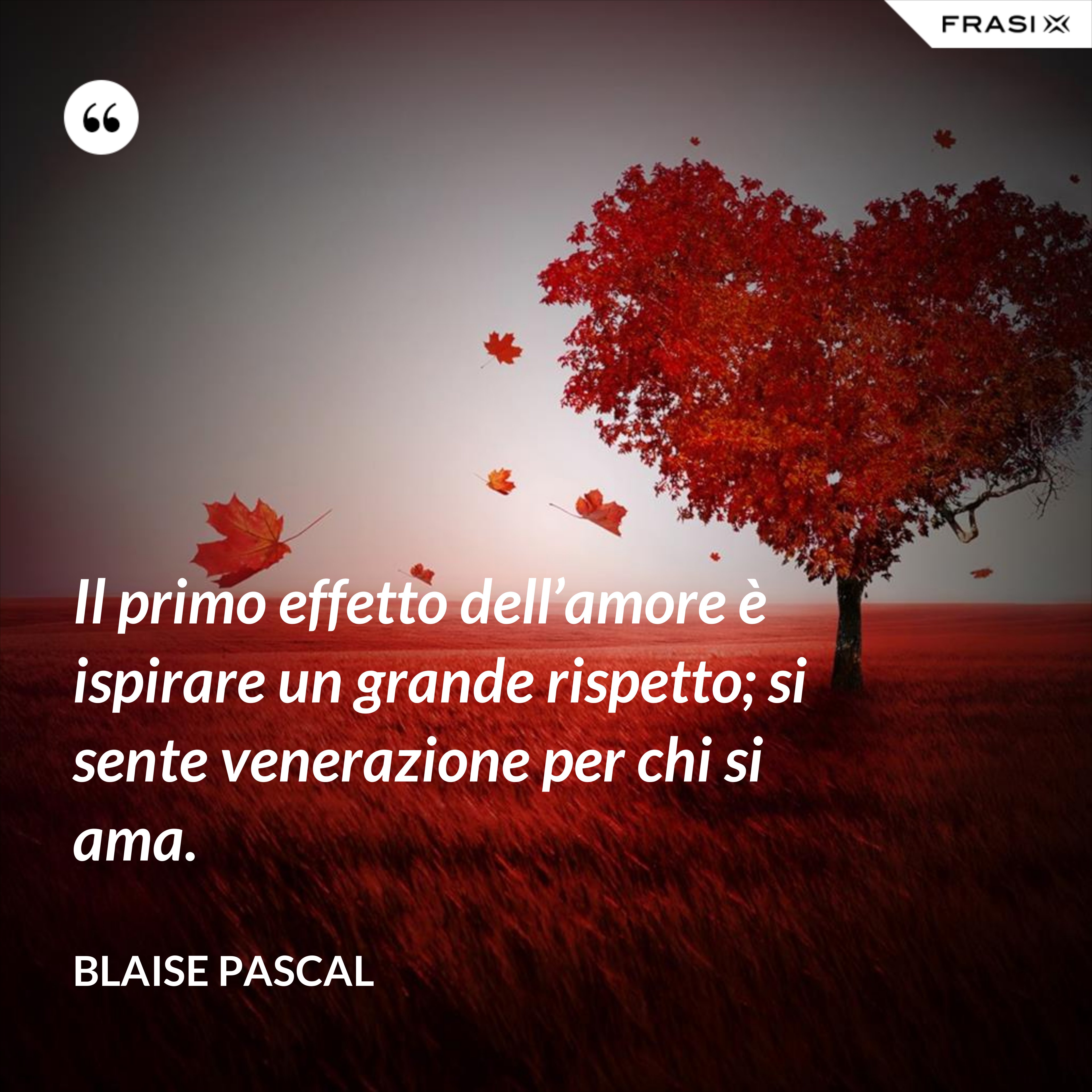 Il primo effetto dell’amore è ispirare un grande rispetto; si sente venerazione per chi si ama. - Blaise Pascal