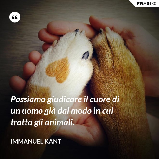 Possiamo giudicare il cuore di un uomo già dal modo in cui tratta gli animali. - Immanuel Kant